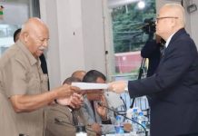 Fiji Law Society says Constitution consultation rushed, opposes future coup immunity