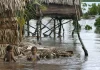 Commonwealth warns Pacific nations face rising seas, weak adaptation systems