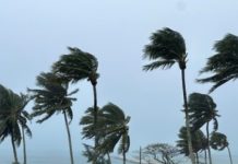 Pacific meteorological directors coordinate regional cyclone outlook ahead of PICOF-19