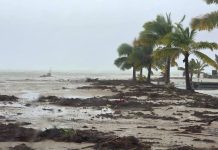 PM Brown shifts focus to recovery after Cyclone Wati hits Cook Islands