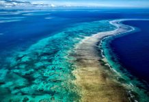 Pacific Islands work to protect coral reefs in face of daunting outlook ahead