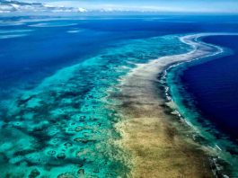 Pacific Islands work to protect coral reefs in face of daunting outlook ahead