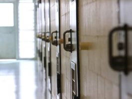 ‘Right path’: Diverting Pasifika youth away from jail