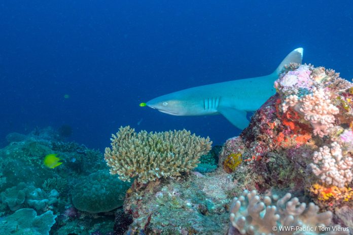 Fiji secures US$35.2m GCF grant to protect Great Sea Reef