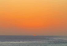Warming ocean and the silent battle beneath the surface