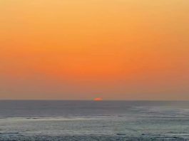 Warming ocean and the silent battle beneath the surface