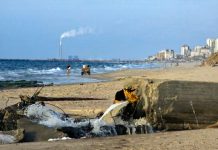 Minamata survivor calls on countries to act on mercury pollution